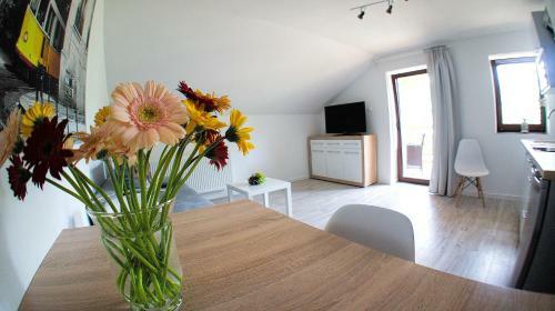 Apartamenty Karkonoskie