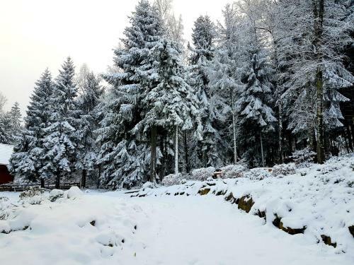 Apartamento Willa G�ralka