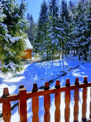 Apartamento Willa G�ralka