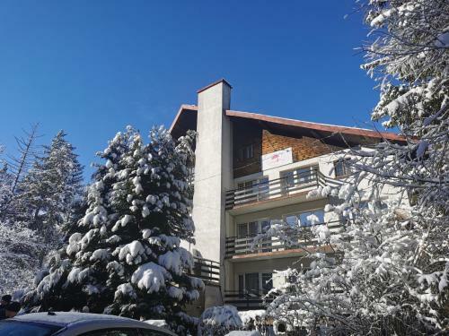 Bed & Breakfast Malinowy Domek