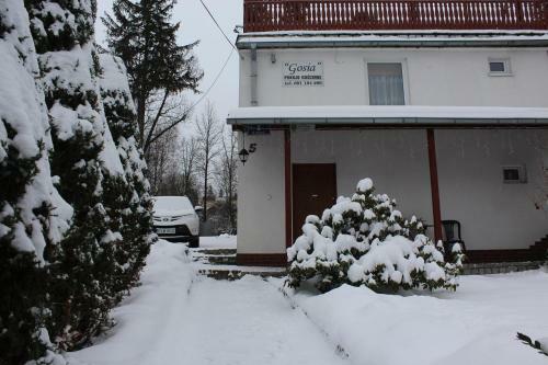 Apartament Kameralny