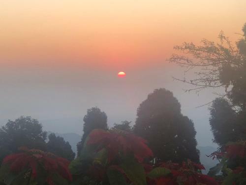Goomtee Tea Estate And Retreat