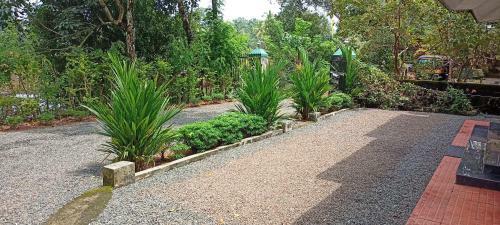 Kuttickattil Gardens With Kitchen