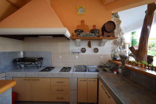 Apartment Liljana With Shared Swimming Pool