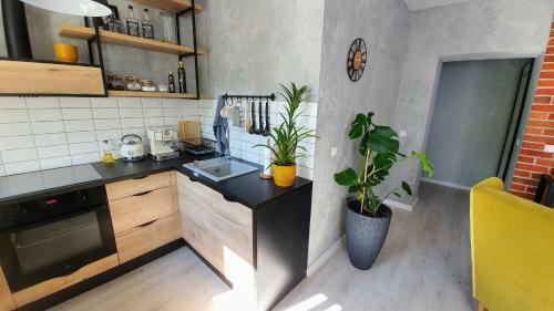 Apartament Garncarska