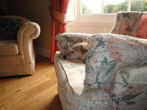 Bed & Breakfast Cary Fitzpaine House