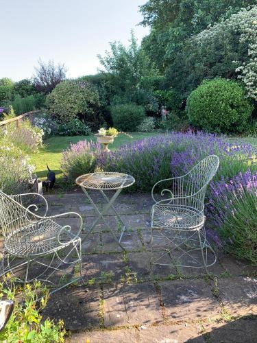 Bed & Breakfast Cary Fitzpaine House