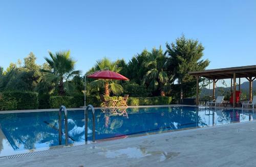Luxury Villa In G�yn�k Antalya