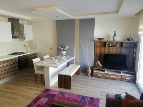 Apartamento ?ehir Merkezinde 1+1 L�ks Daire