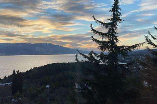6+2 Luxurious Villa With Lake View In Sapanca