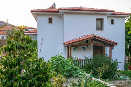Jasmin Villa With Pool Daily Weekly Rentals