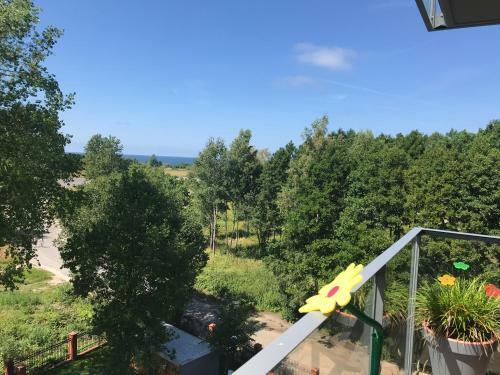 Apartament Holenderski Feniks