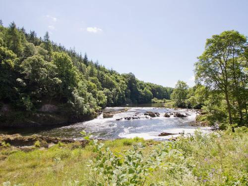 Force Mill