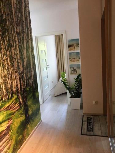 Apartament Solna Ko?obrzeg 207