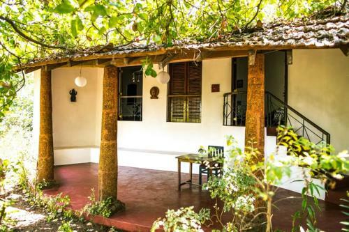 Hostal The Temple Jungle House