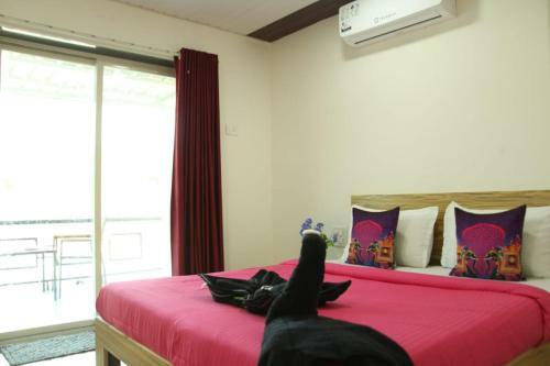 Hotel Superior Rooms With Nature View