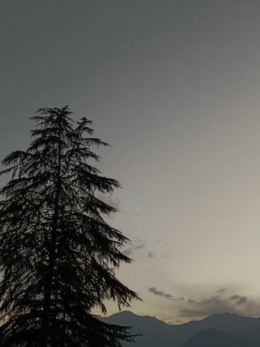 Naggar Homestay