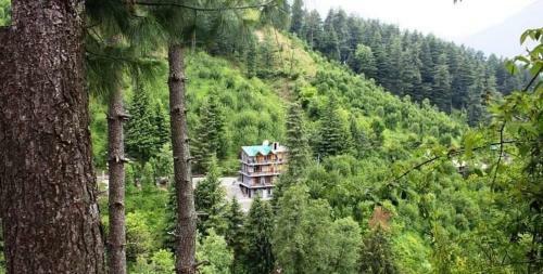 Bed & Breakfast The Himalayan Stay Bnb