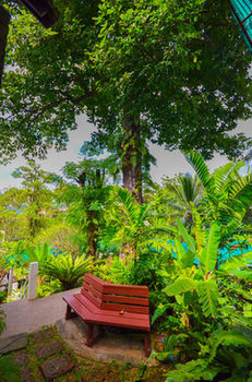 Hotel Orchidacea Resort