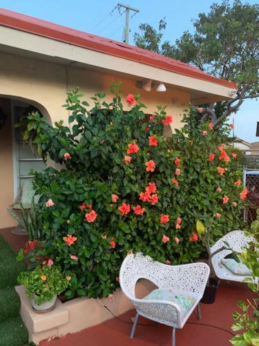 Habitaci�n C�ntrica Calle 8 Miami