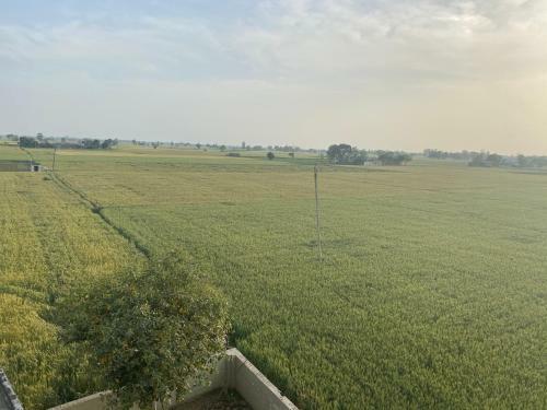 Agroturismo Mango Grove Farm