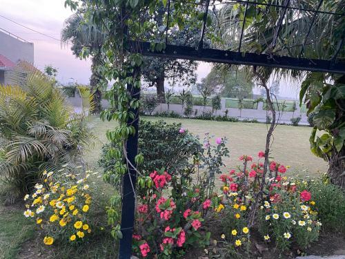 Agroturismo Mango Grove Farm
