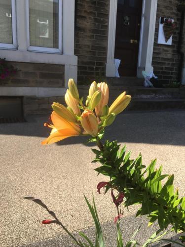 Hostal Highfield Guesthouse