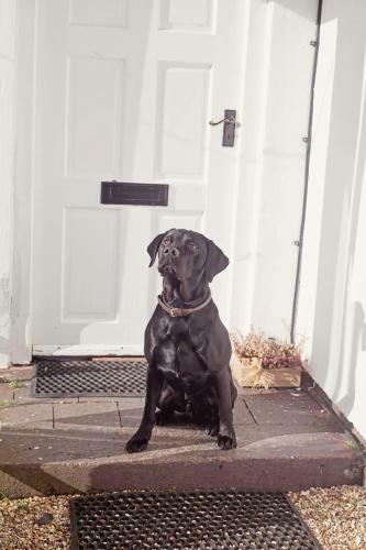 Hostal Broncoed Uchaf Country Guest House