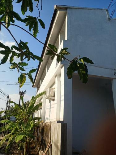 Hotel Oyo 90464 Ryan Guest House