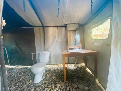 Hotel Lushy Days Boom Camp