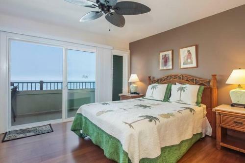 Banyan Tree #305