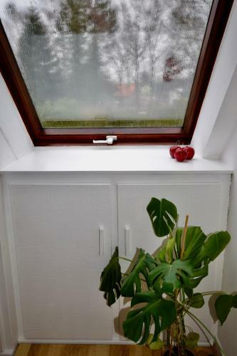 Apartamento Ferienwohnung Kleine Auszeit