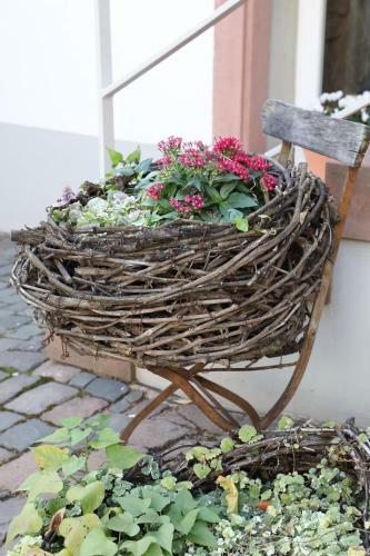 Hotel Julius In Der Pfalz