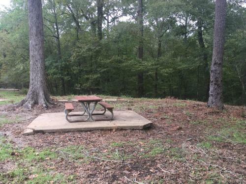 Tentrr State Park Site - Chicot State Park Site B Double Tent Site