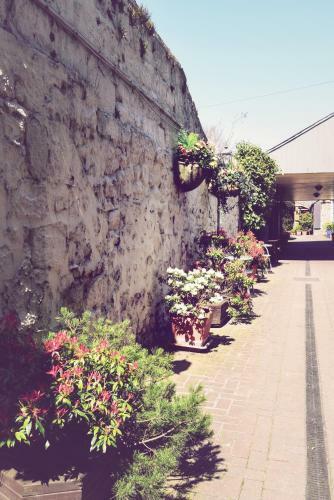 Posada The Black Bull Inn