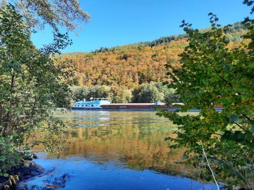 Apartamento Ferienwohnung -main- Ruheplatz Am Wasser
