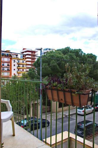 Hostal Olivarooms