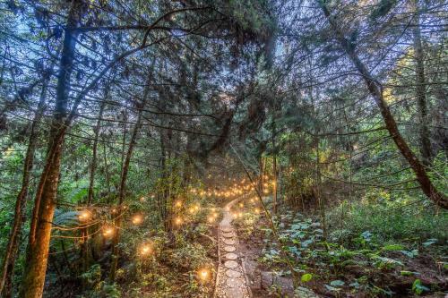 Caba�a Oculto Refugio de Bosque By Housy Host