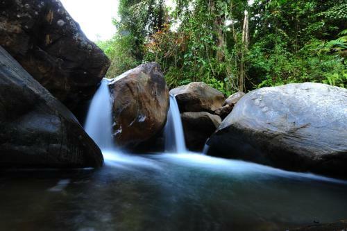 Hotel Gallene Gala Nature Resort