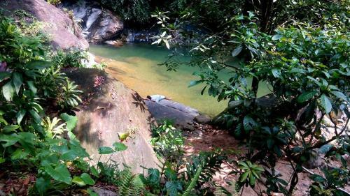 Hotel Gallene Gala Nature Resort