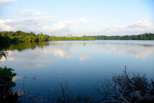 Lodge Shady Lake Resort