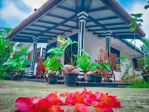 Hostal Beauty Beach Villa
