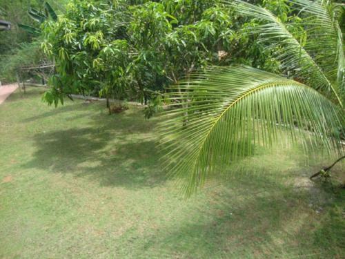 Apartamento Full Furnished Appartment