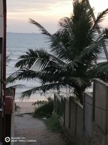 Bed & Breakfast The Ocean Villa At Surf Spot