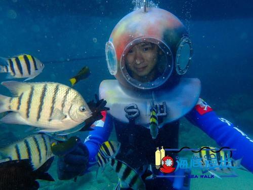 Penghu Color Fish Homestay