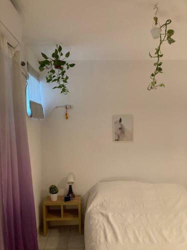 A Room By The Harbour