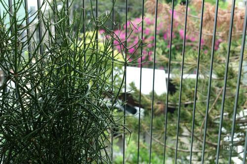 Apartamento Kaia Residence Danang Quiet Garden