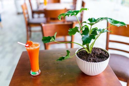 S�c Con Homestay & Coffee