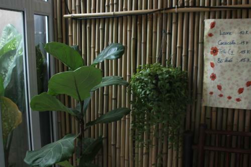 Chicken's House- ???ng L�m Homestay