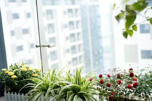 Apartamento Joli House 47 Nguy?n Tu�n